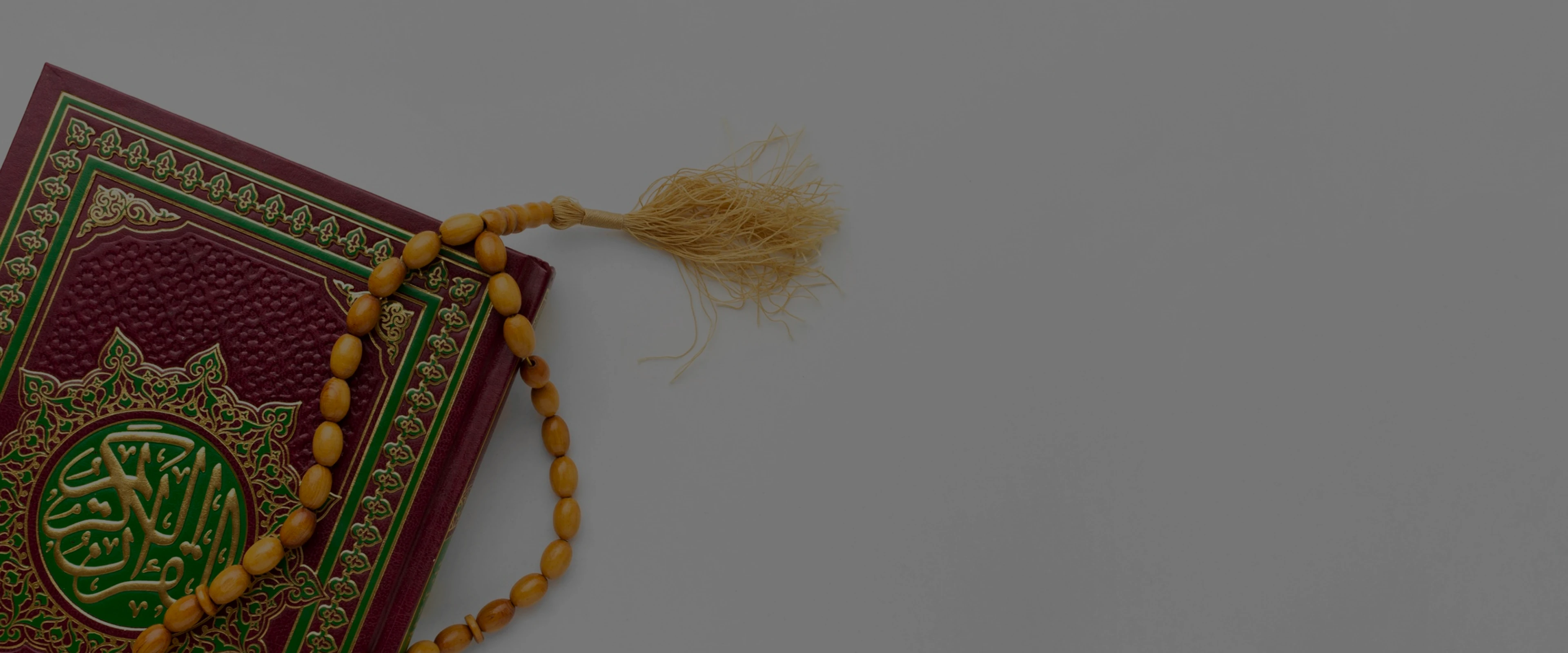 bg_sec_img_books1_sctn63